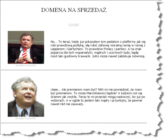 JaroslawKaczynski.pl na sprzedaż - archiwum