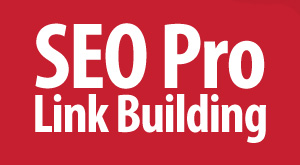 szkolenie SEO Pro Link Building